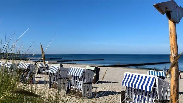 A beachside view with rows of striped beach chairs and a wooden post with a sign. - Apartment for 4 People (44 m²) in Zempin (Seaside Resort) (Zempin)
