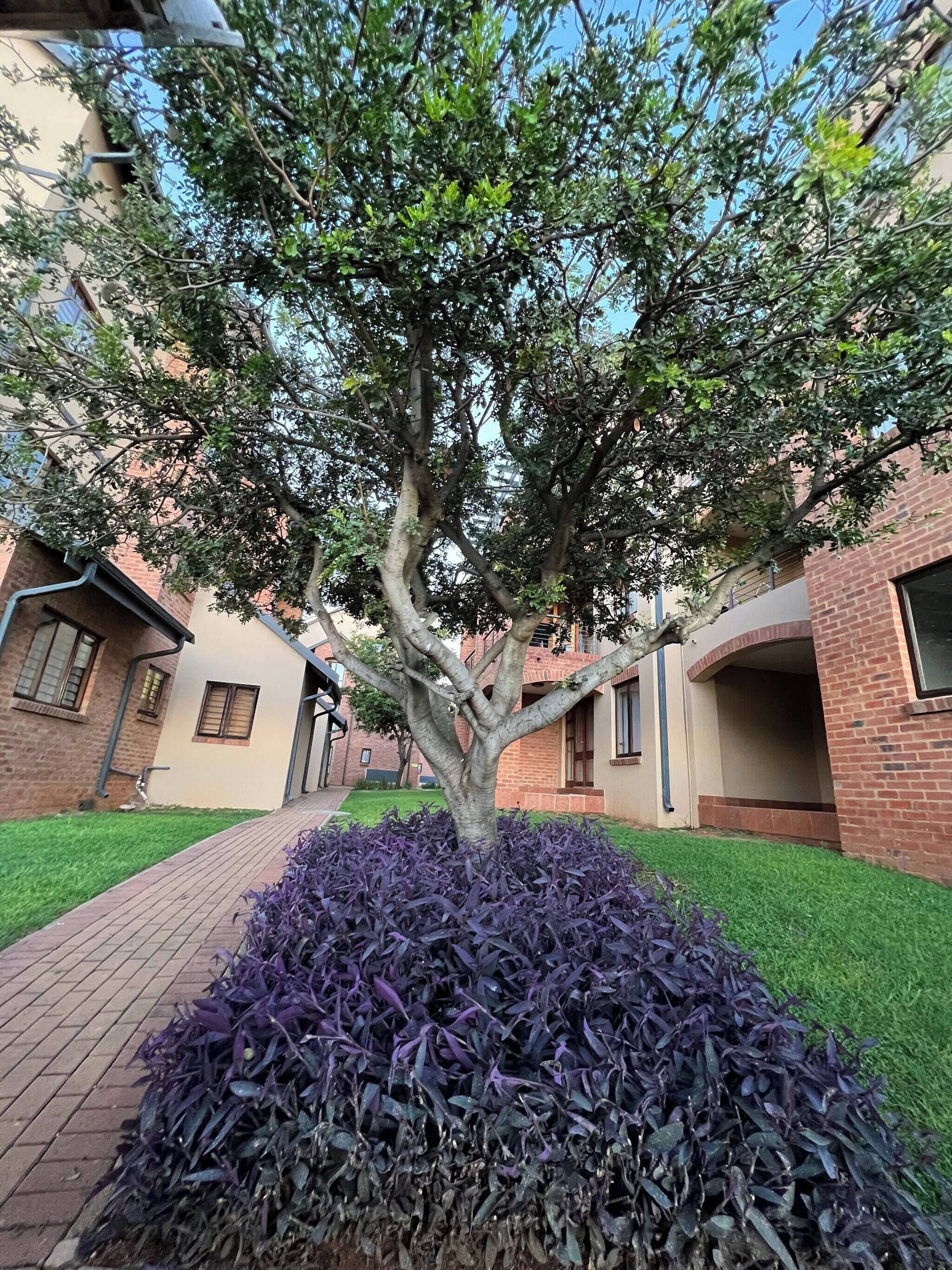 Apartment, 2 Bedrooms, Balcony | Exterior