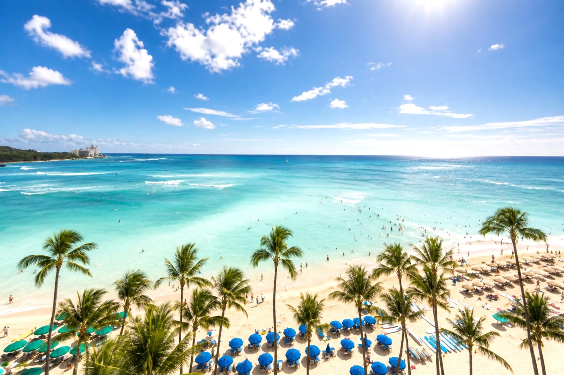 A beach with clear turquoise water, palm trees, and beach umbrellas.