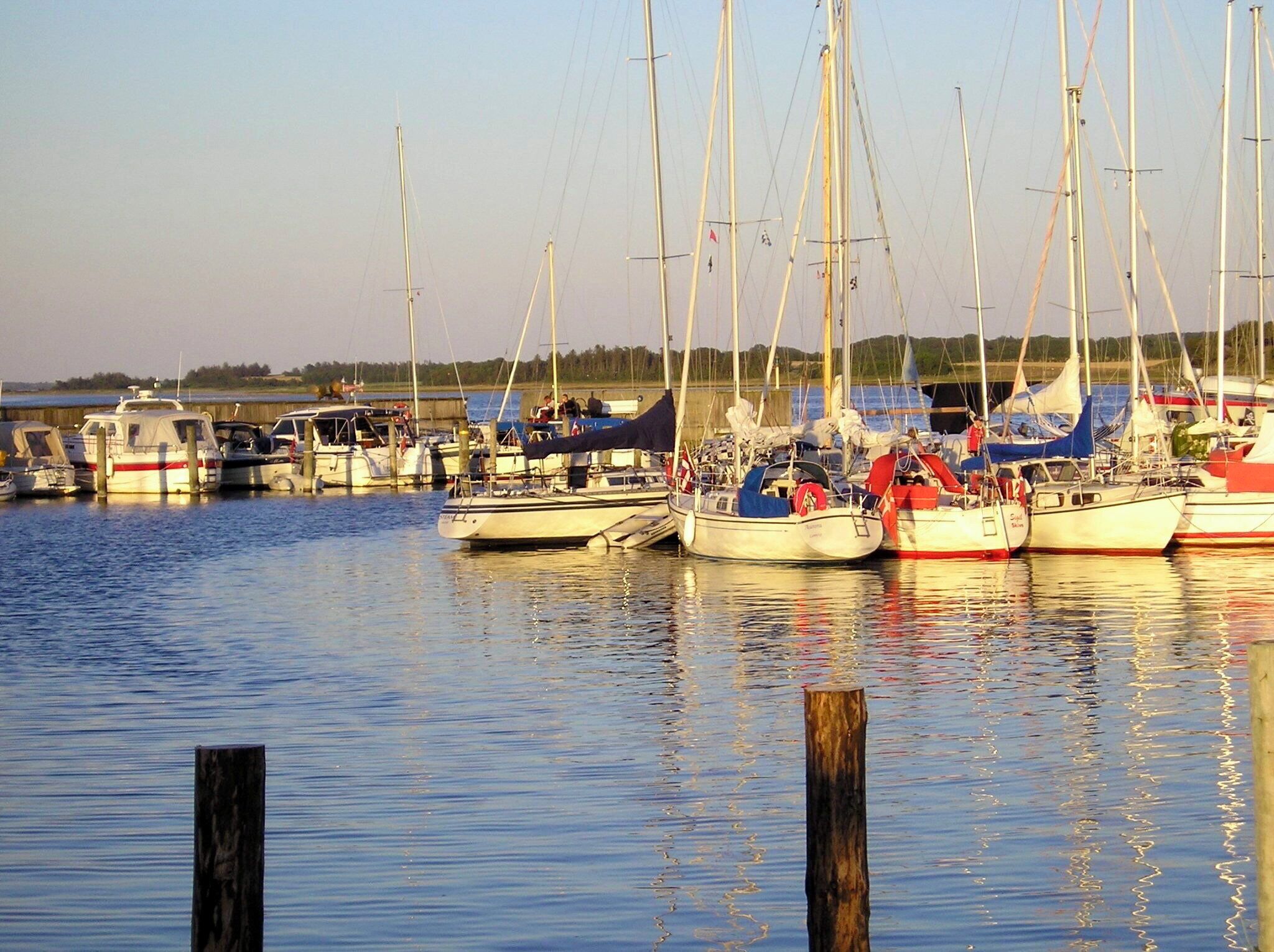 Un port de plaisance où sont amarrés de nombreux bateaux.