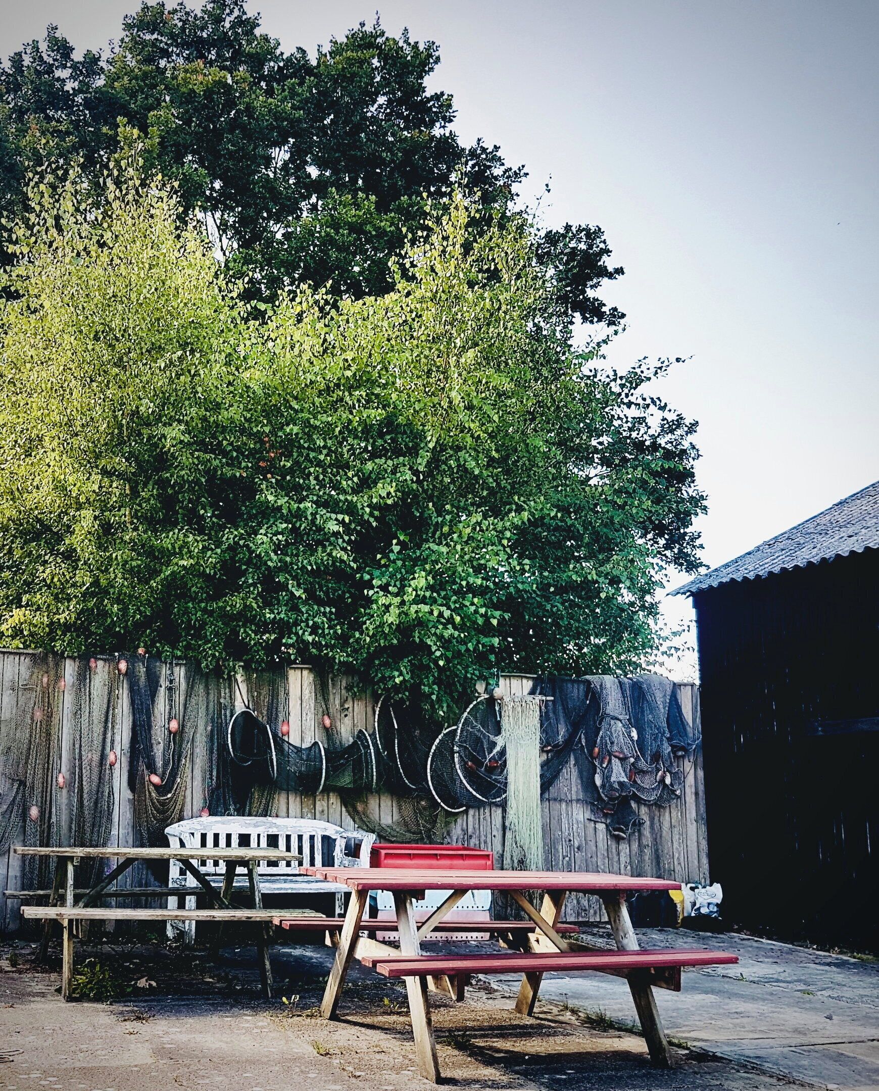 A rustic outdoor area with wooden picnic tables and a wooden fence with fishing nets.