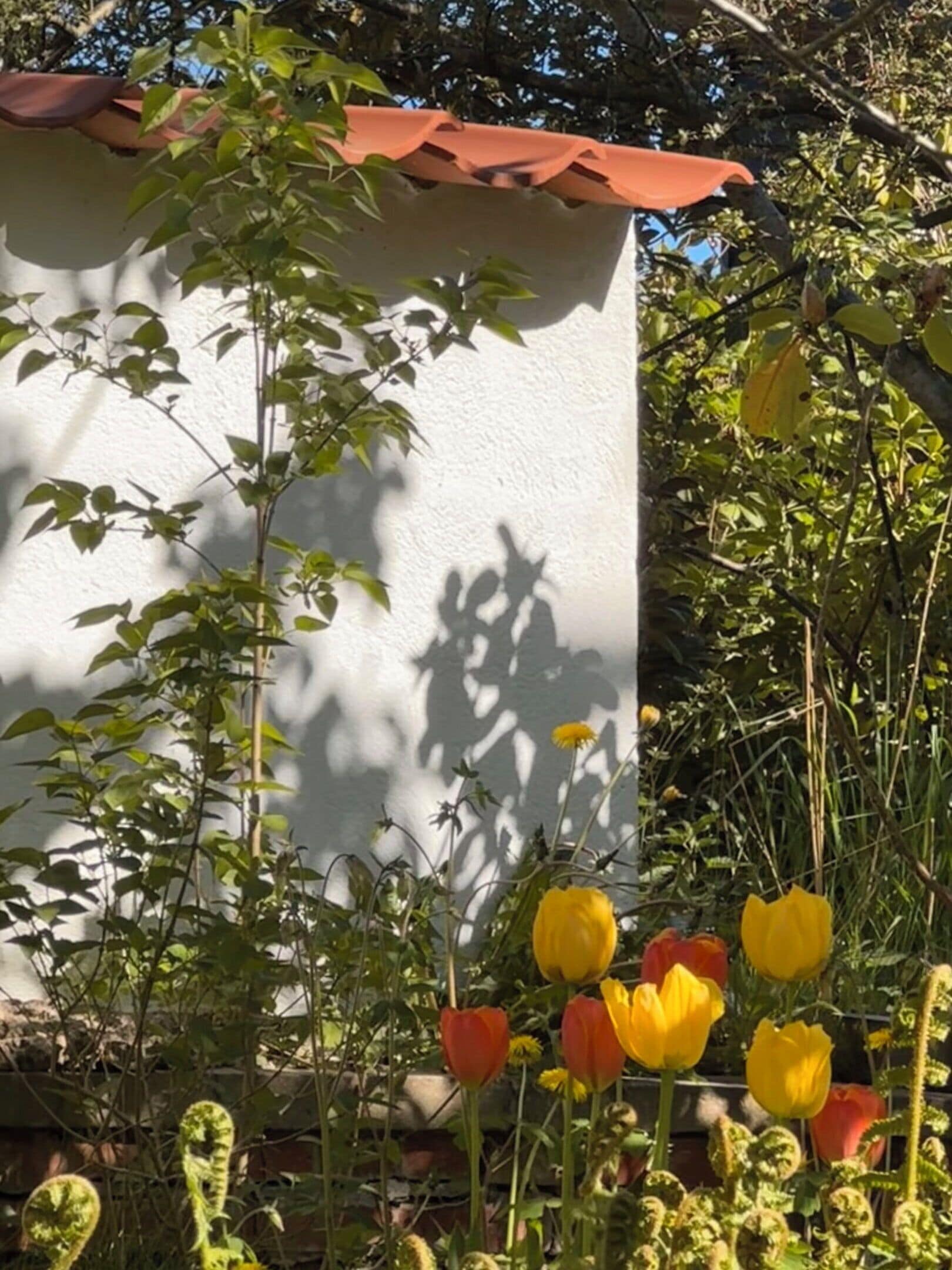 Udvendig detalje