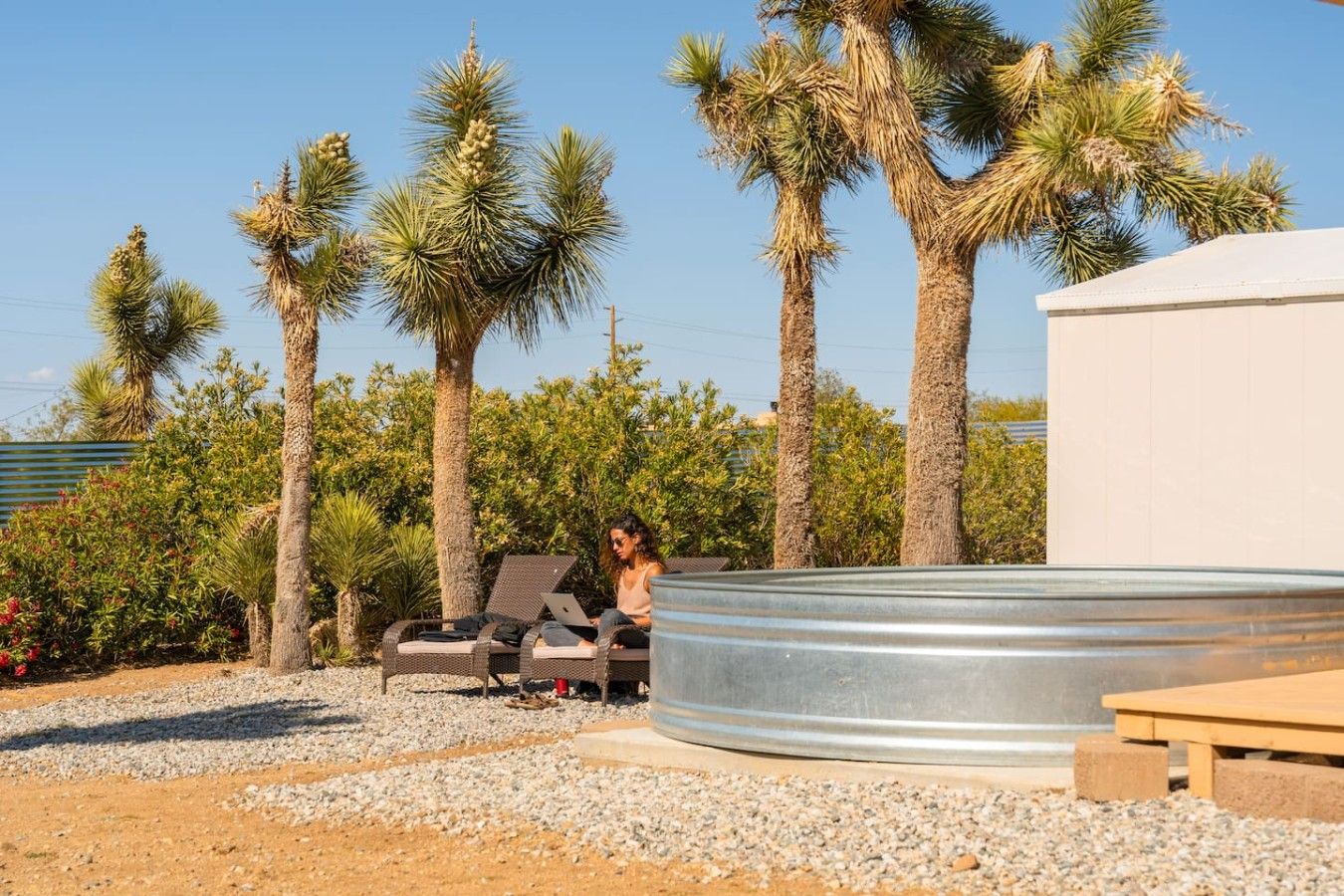 A person sitting on a lounge chair with a laptop, surrounded by palm trees and a swimming pool.
