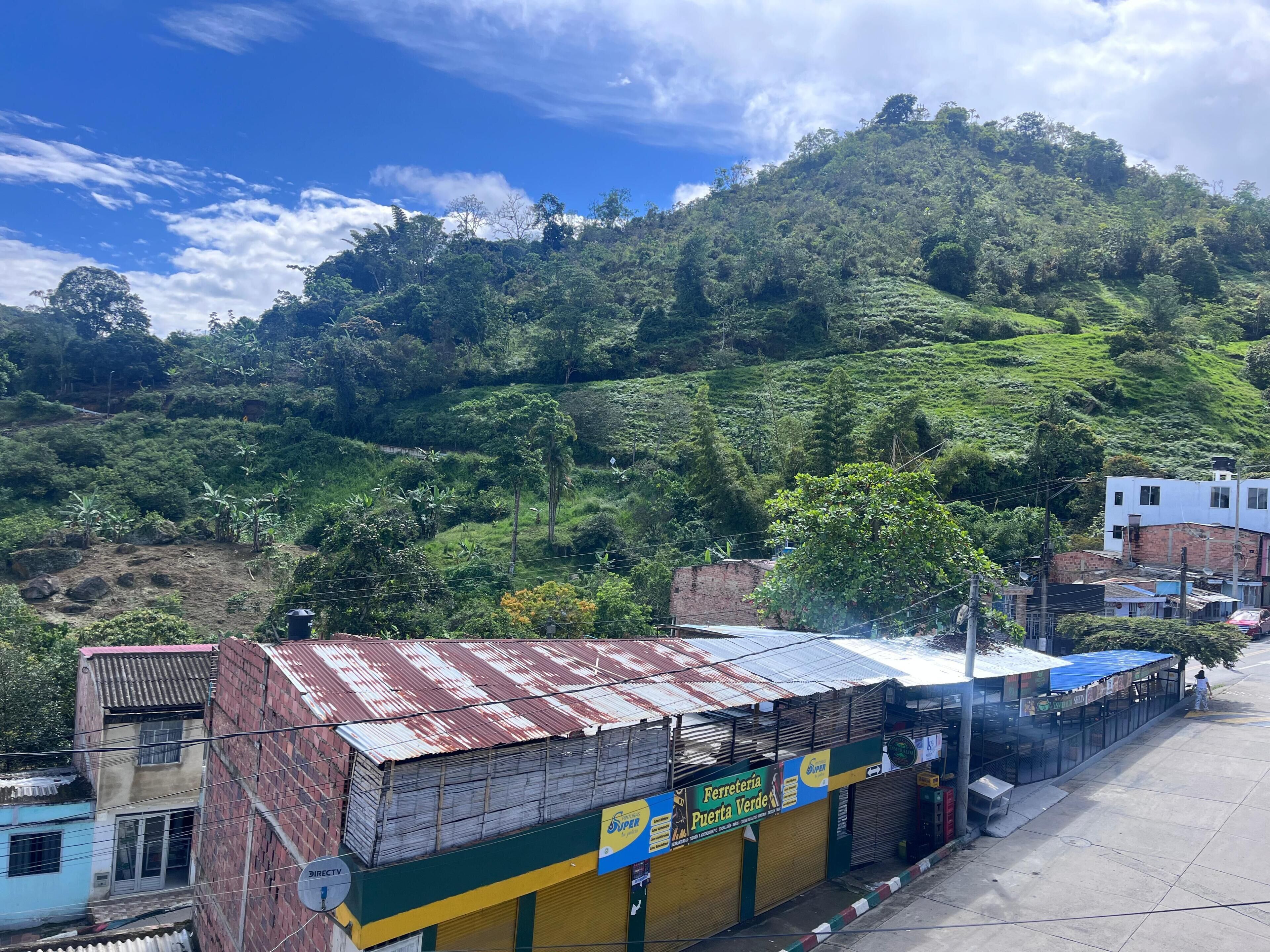 Mountain view