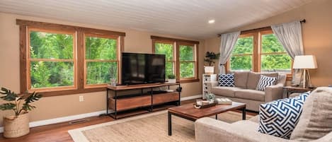 Smart TV, DVD player, books, video library