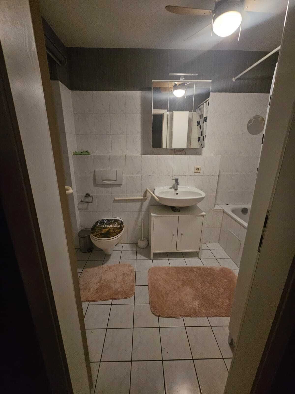Haartrockner, Handtücher, Toilettenpapier