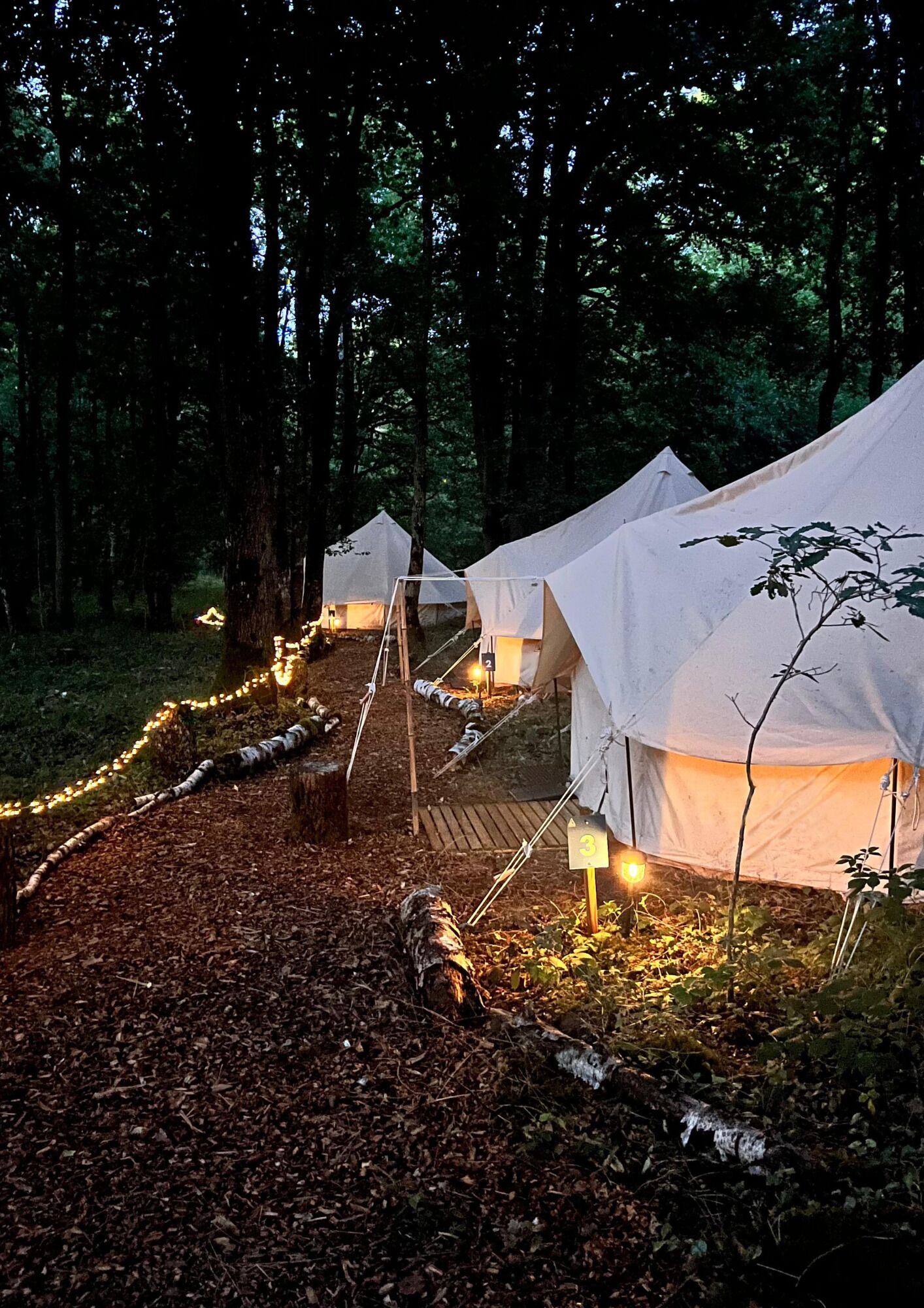 Tenda, pemandangan resor | Halaman properti