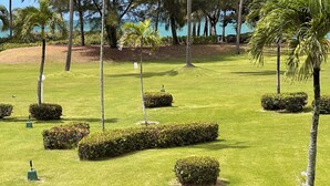 Un campo de golf bien cuidado, con césped impecable, palmeras y cielo despejado.