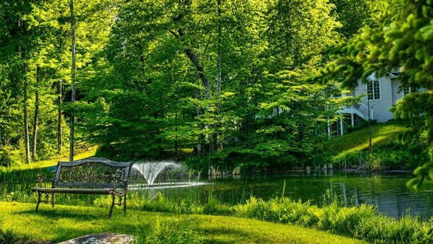 En park med en bænk, et spejlende vand og et hus i baggrunden.