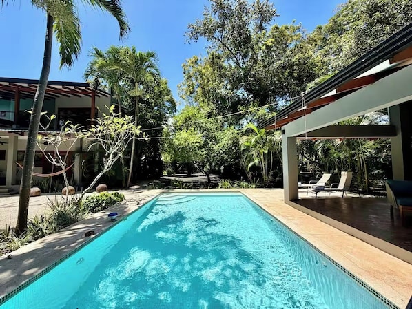 Una piscina rectangular con agua azul cristalina, rodeada de palmeras y una zona cubierta con sillones de descanso.