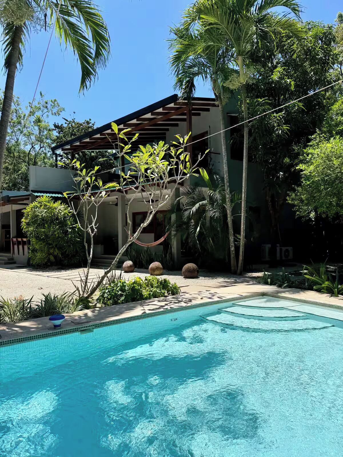 A swimming pool with a tiled edge, surrounded by palm trees and a building with a sloped roof.