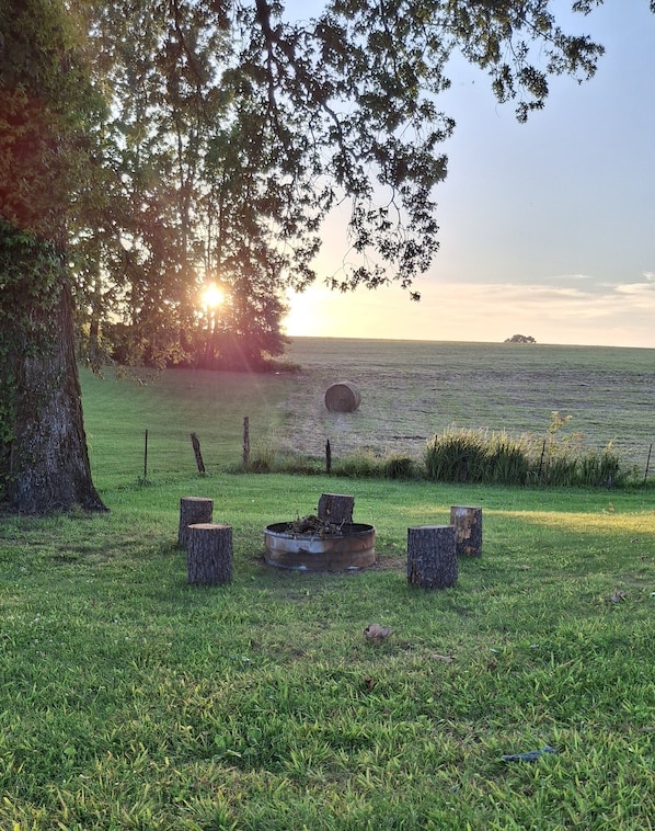 A grassy field with a tree, a fire pit, and a fence.