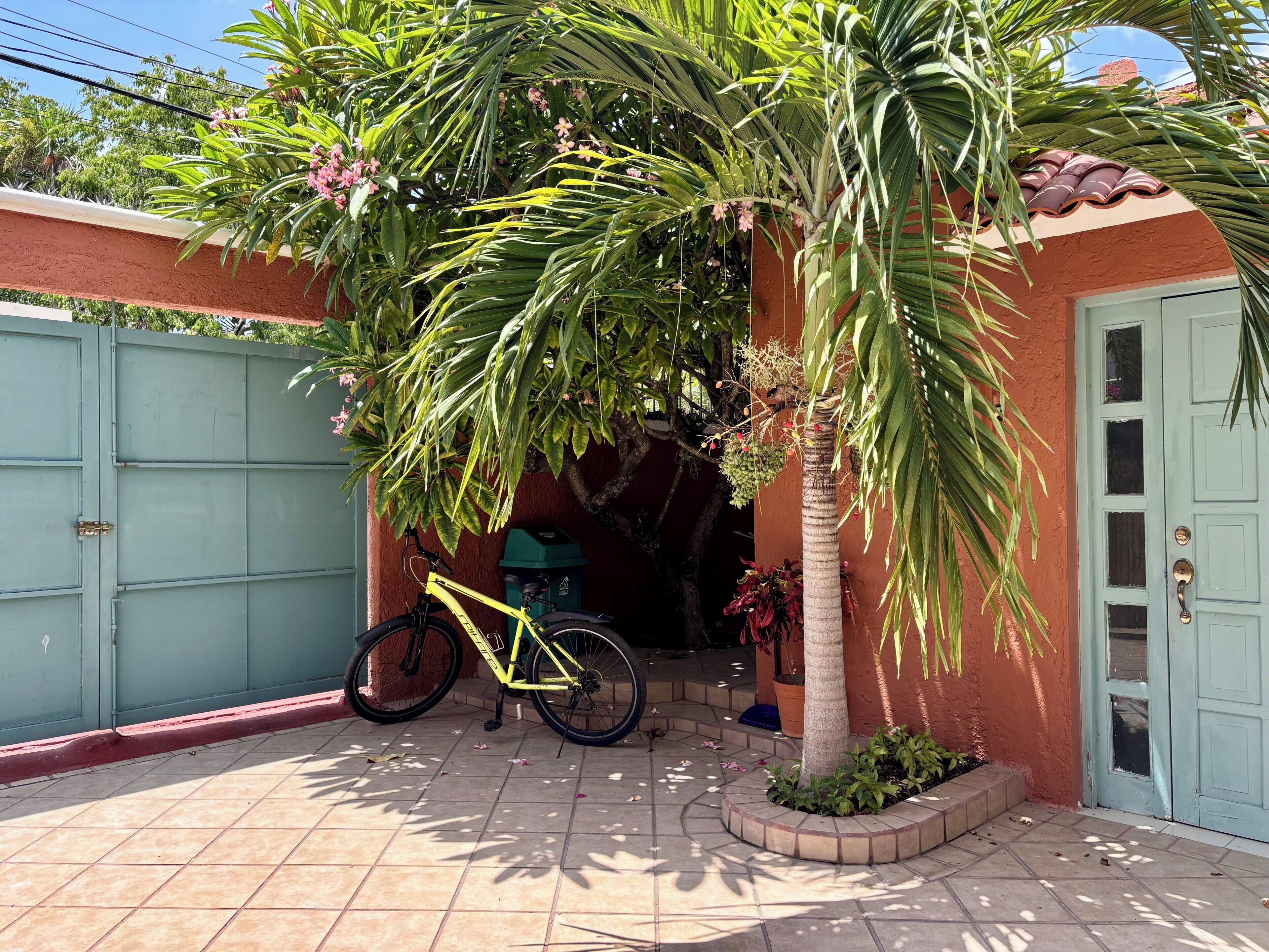 A yellow bicycle parked under a palm tree in a courtyard with a red wall and a blue door.