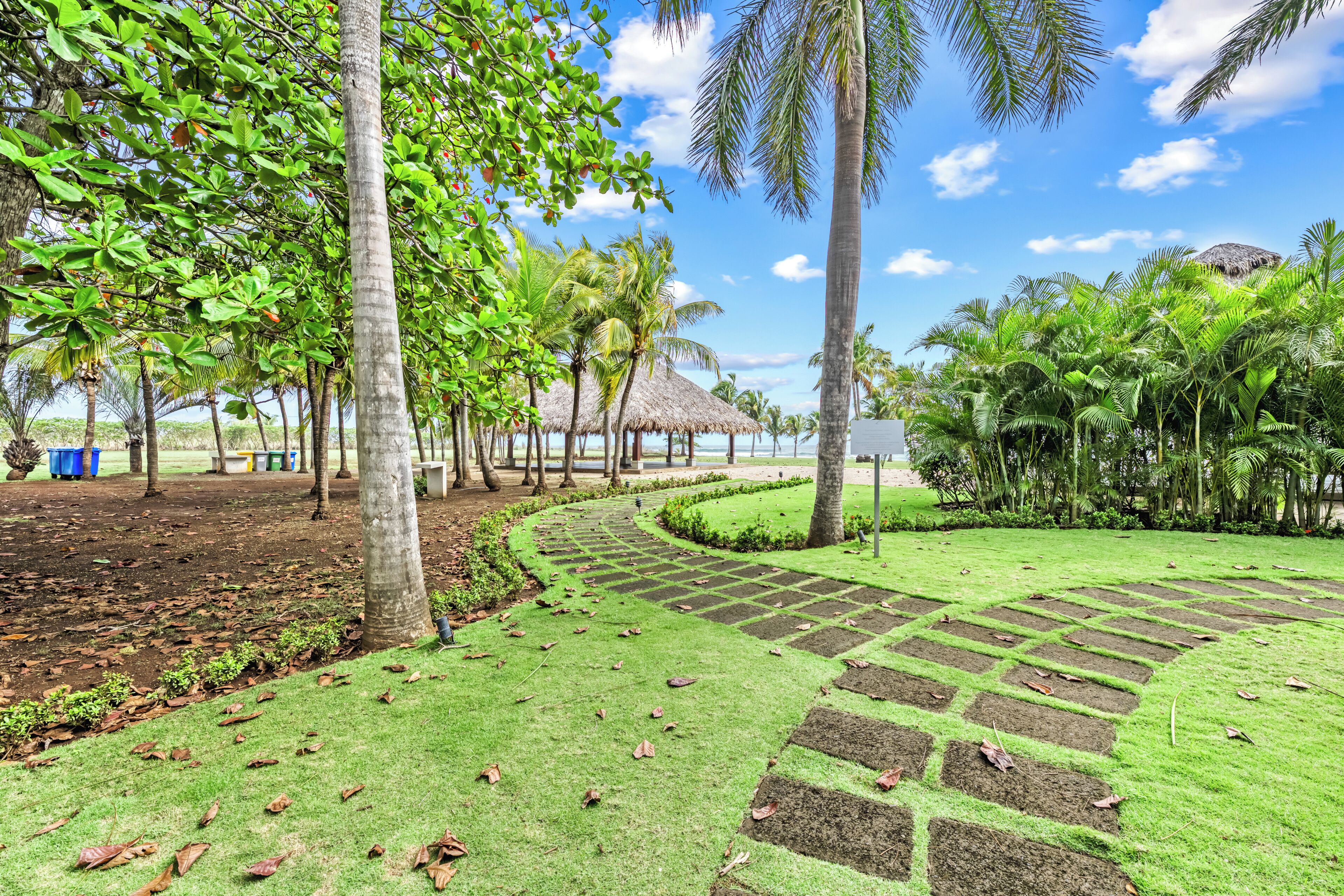 A tropical garden with palm trees, a thatched-roof structure, and a paved pathway.