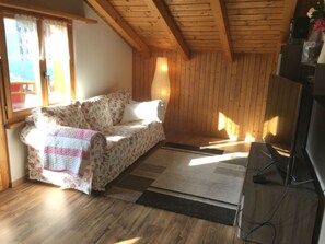 Fernseher