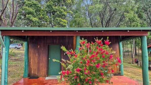 A small building with a green roof and a wooden door, surrounded by a red pathway and a flowering bush.