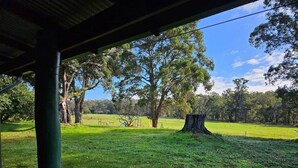 A grassy field with trees and a building structure.