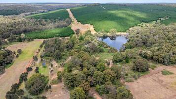 Vista aérea de un paisaje natural con una masa de agua, vegetación densa y un sendero de tierra.