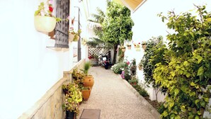 A narrow alleyway with a motorcycle parked at the end, surrounded by potted plants and greenery. - Studio Sleeps 4 With Terrace (Chipiona)