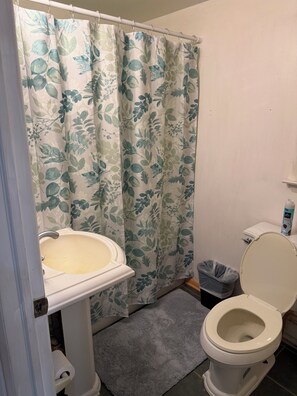 Bathroom - Seasonal rental- pet friendly 2 bedroom apt in Beach Haven - AC & washer/dryer (Beach Haven)