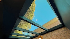 A skylight with a clear view of the sky and trees, a brick wall, and a hanging light fixture.