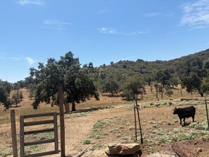 Miscellaneous - Charming 3 BDR Chate on 640 acres with a pool. 20 min to Kings Canyon (Miramonte)
