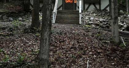 Charming 3-bedrm chalet in beautiful Bellaire Close to Torch Lake -golf courses