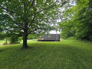 Property grounds - Charming Tiny House in Country (Adairville)
