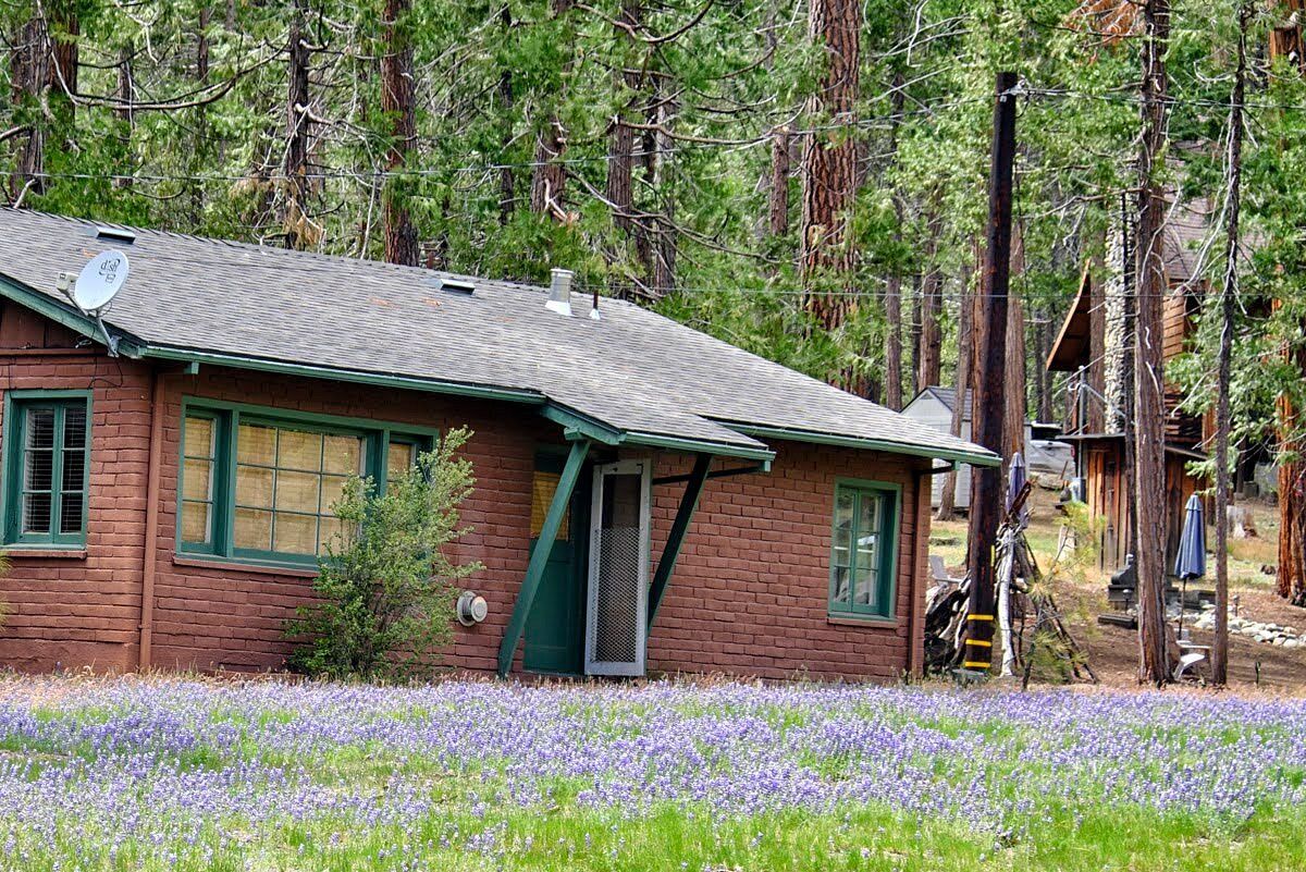A rustic cabin with a green door, windows, and a satellite dish.
