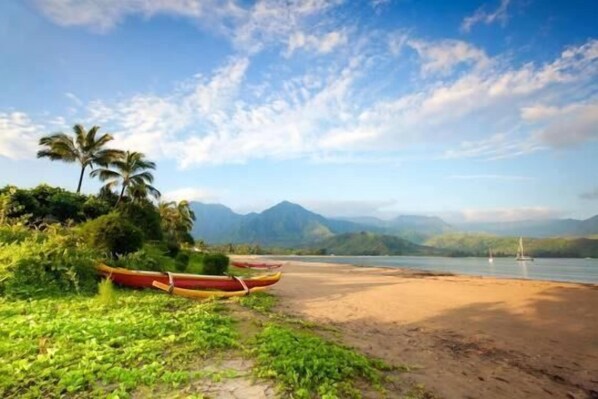 A beach with boats, palm trees, and mountains in the background.