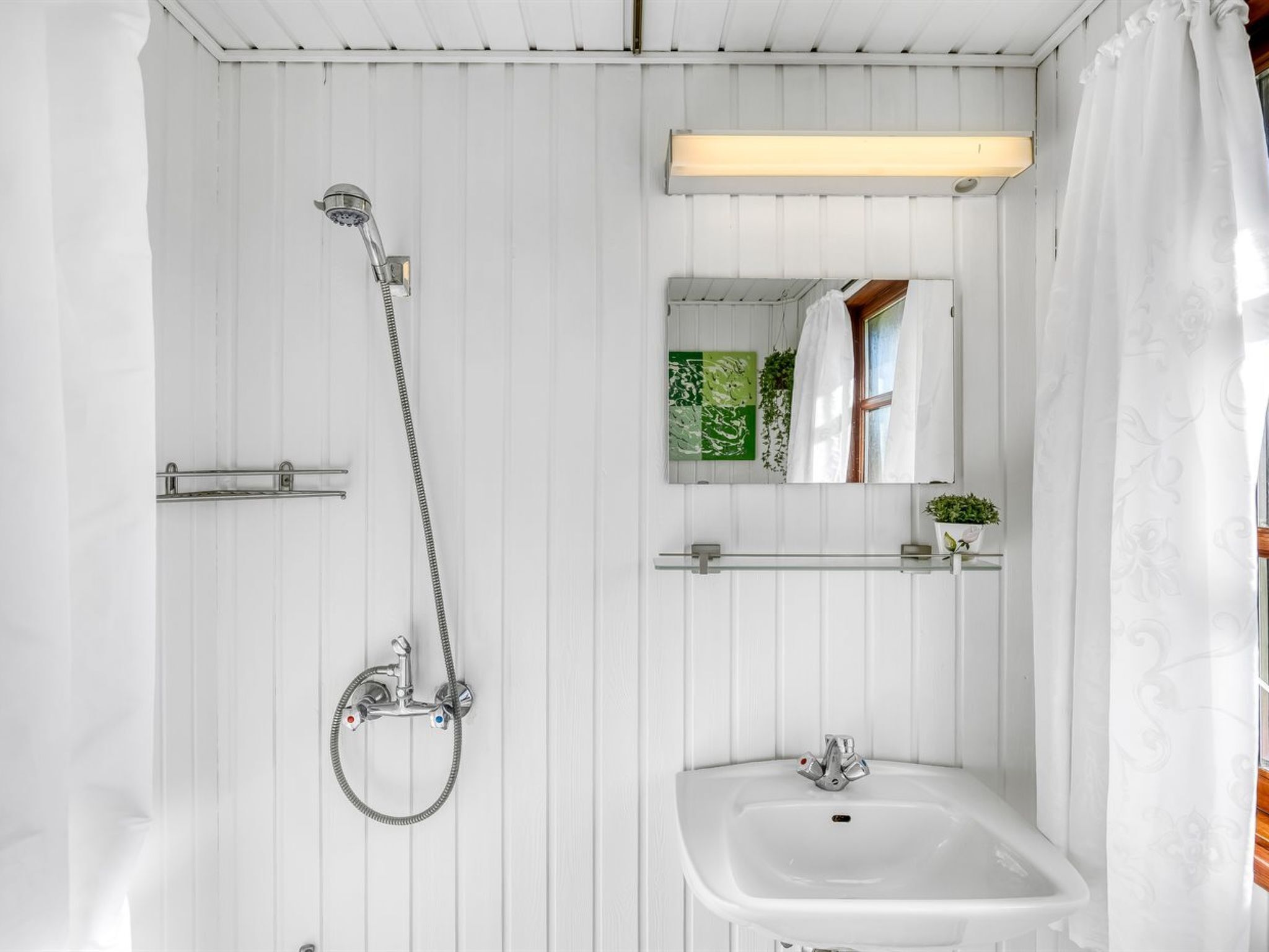 A bathroom with a shower, sink, mirror, and a hanging plant.