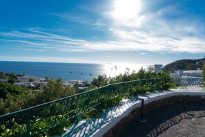 A coastal view with a clear sky, a paved walkway, and buildings in the background. - Villa San Francesco Garden (Forio d'Ischia)