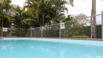 A swimming pool with a metal fence, surrounded by palm trees.