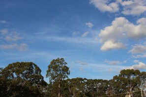 A clear sky with scattered clouds and a dense line of trees. - Huntsville Caravan Park (Maryborough)