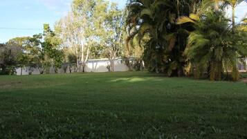 A grassy yard with trees and a building in the background.