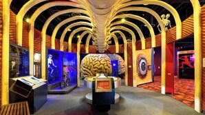A museum exhibit with a central brain model, arching ceiling structures, and informational displays. - SuperValue Suite #5 @ East End Revitalized (Houston)