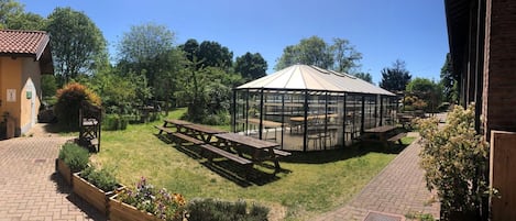 A gazebo with a transparent roof, surrounded by picnic tables and benches, set in a garden with brick pathways and wooden planters.
