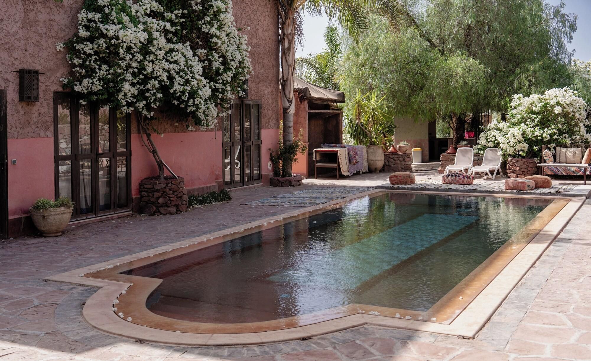 A swimming pool with a stone border, surrounded by potted plants and outdoor furniture.
