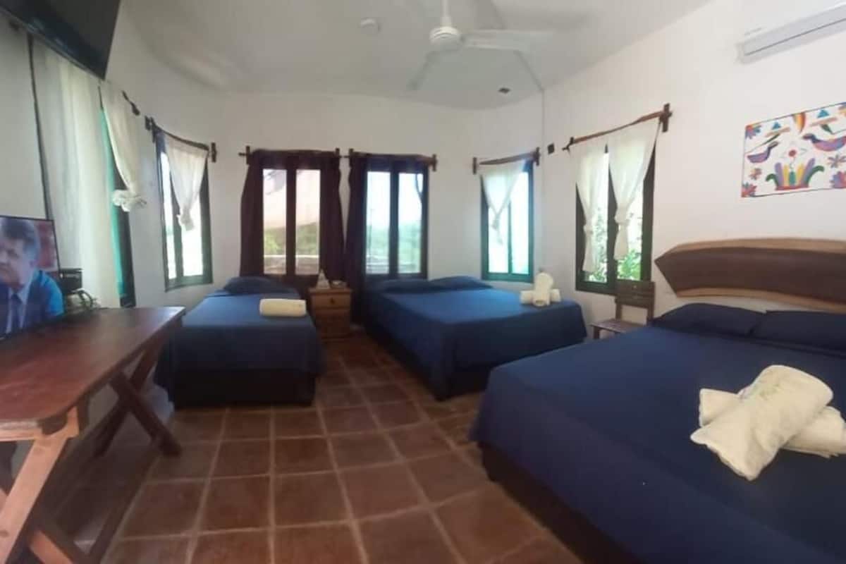 Une chambre avec deux lits, une table en bois, une télévision et des rideaux.