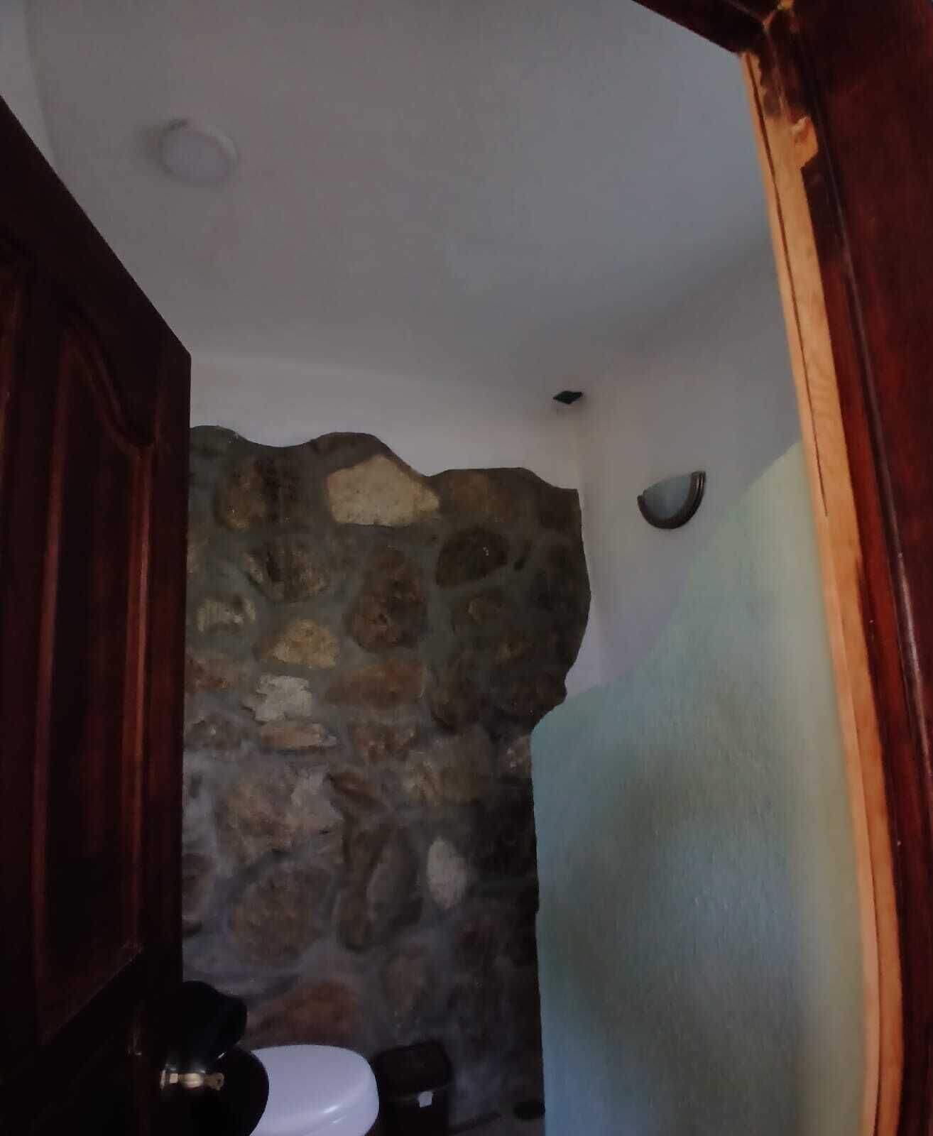 Un baño con pared de piedra, un inodoro blanco y una puerta de madera.