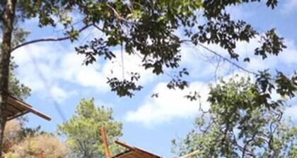 Bamboo Park Resort Malino