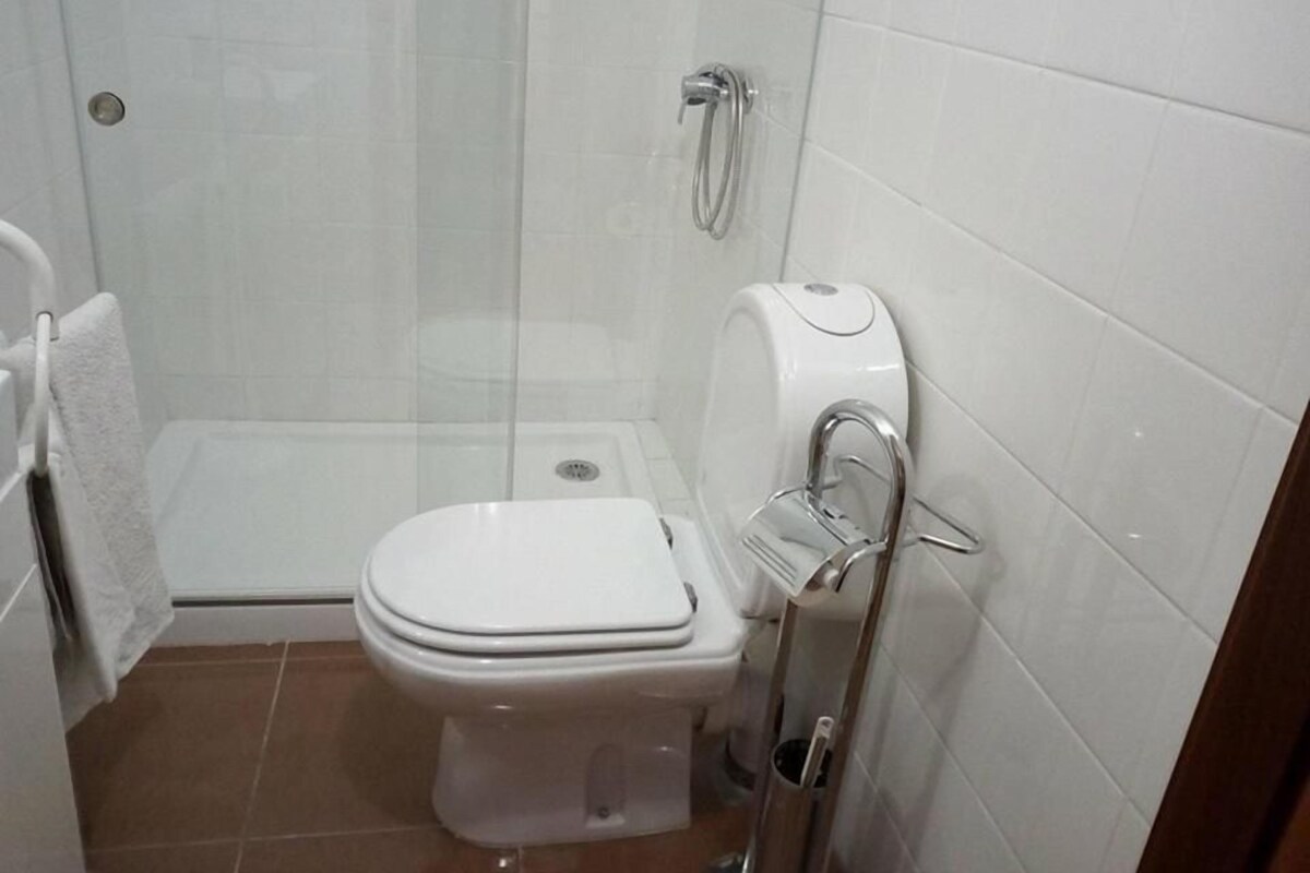 A bathroom with a toilet, a shower, and a toilet paper holder.