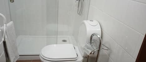 A bathroom with a toilet, a shower, and a toilet paper holder.