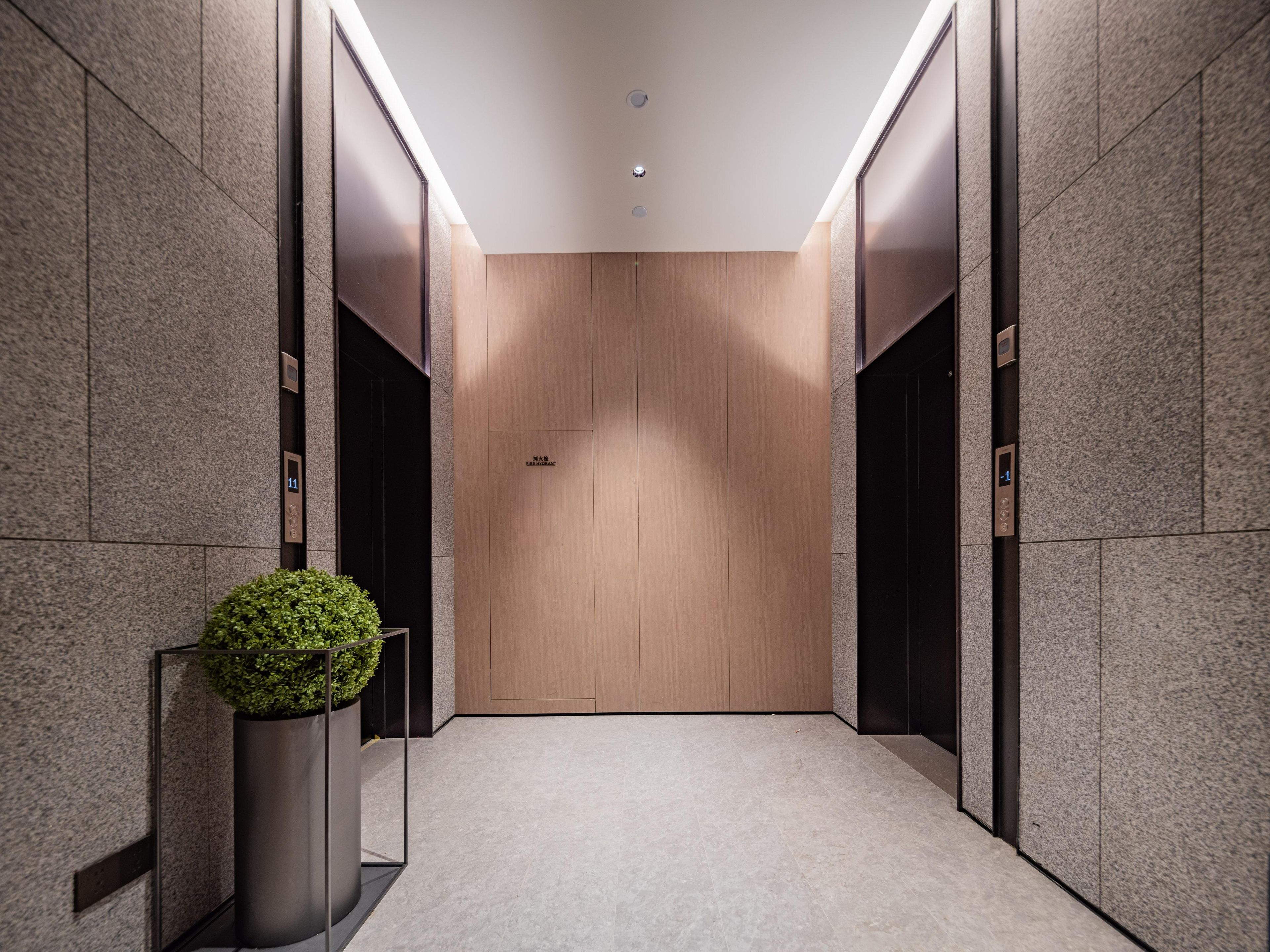 A modern elevator with a digital display, a potted plant, and a neutral-toned wall.