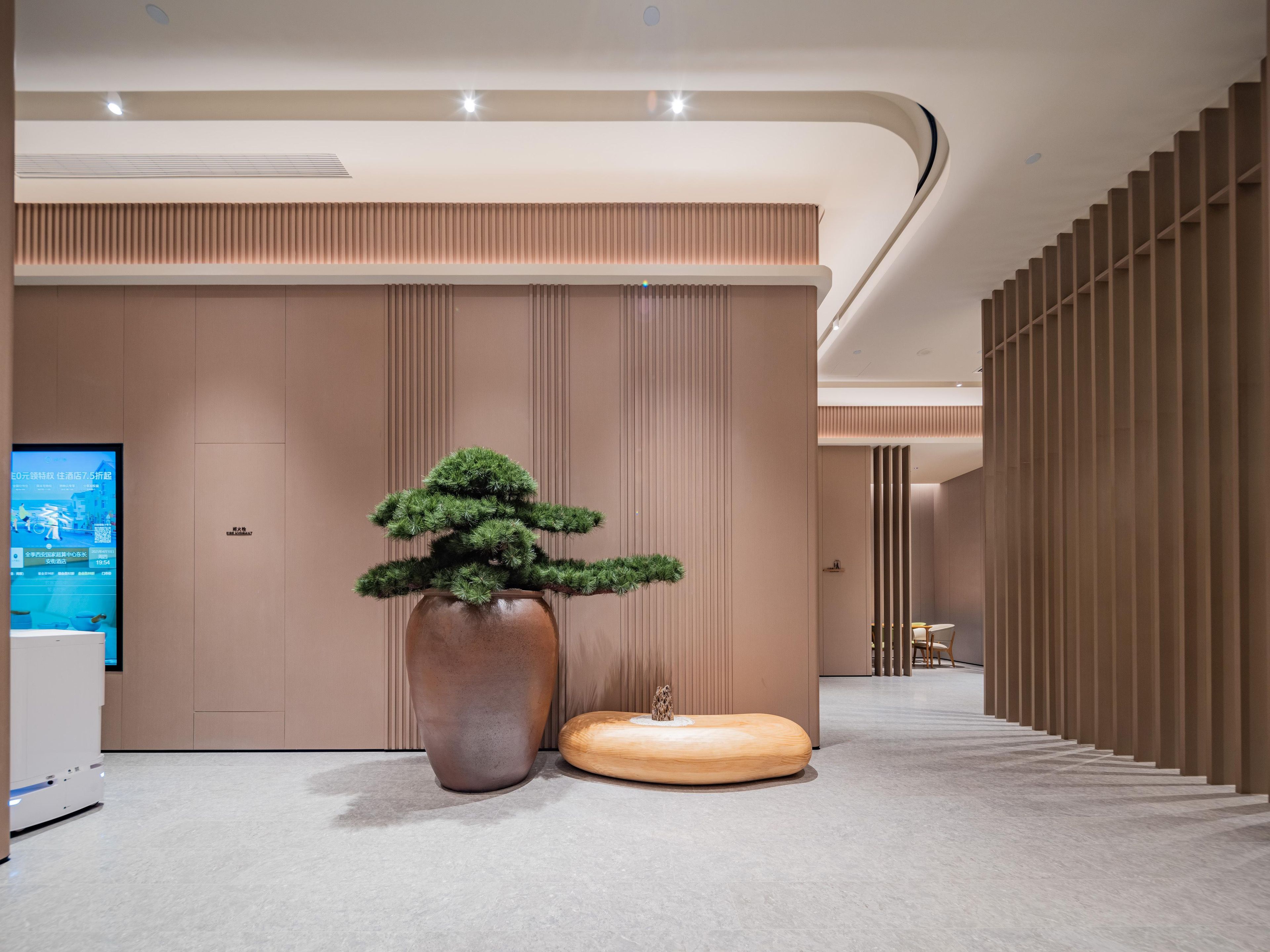 A modern interior with a large potted bonsai tree, a wooden stool, and a digital screen on the wall.