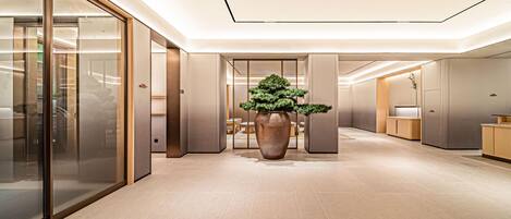 A modern hotel lobby with a large potted bonsai tree, a reception desk, and a seating area.