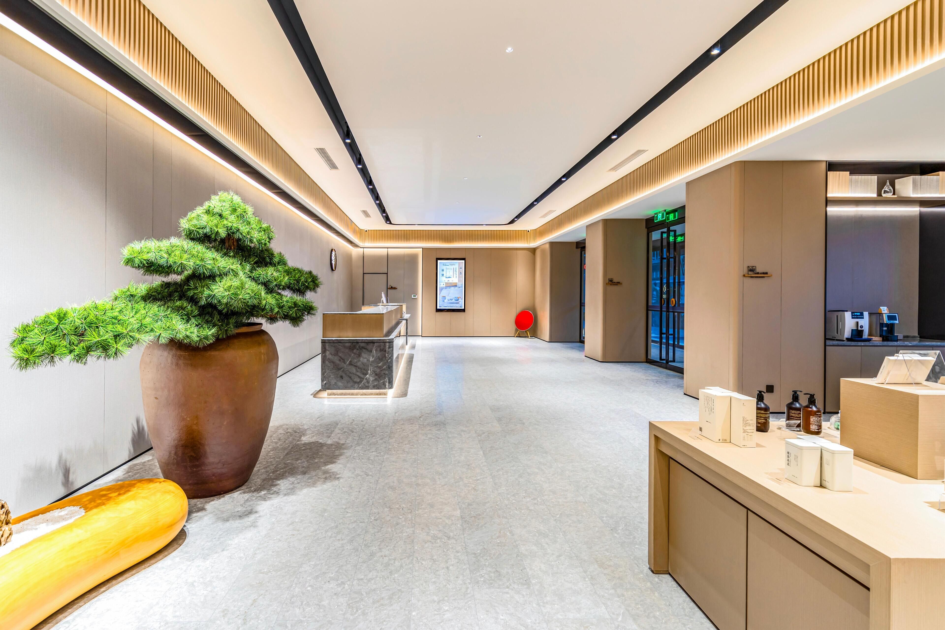 En modern hotellobby med en receptionsdisk, ett stort bonsaiträd i en kruka och ett rent, välpolerat golv.
