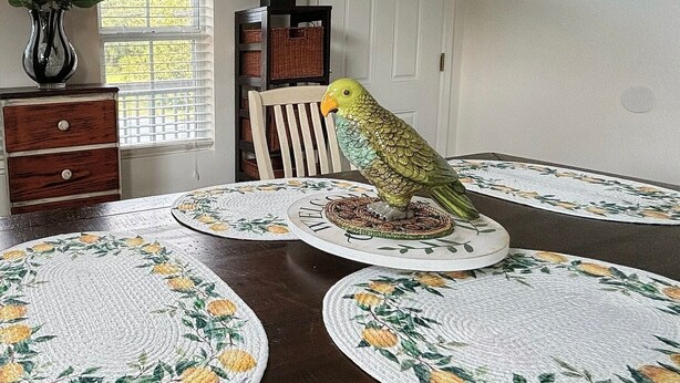 A dining table with placemats, a parrot on the table, a vase with flowers, and a window with blinds. - Pura Vida Biloxi (Biloxi)