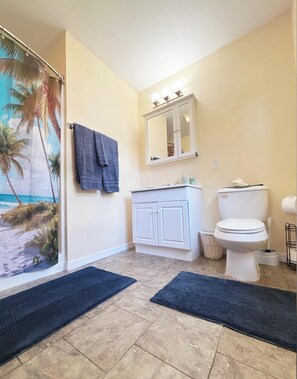 Ein Badezimmer mit Toilette, Waschbecken und Spiegel. Ein Handtuchhalter mit Handtüchern, ein Duschvorhang mit Strandmotiv und zwei dunkle Fußmatten am Boden.