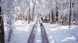 A snow-covered pathway flanked by trees, leading to a distant point. - Lakefront 4 Bedrooms - 2 Private Lodge Suites, Sleeps 12, Free Kayaks, Hot Tubs! (Angola)